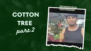 A little about my village Cotton Tree (part 2)
