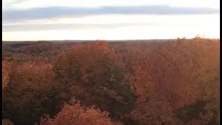 Wisconsin's County Forests