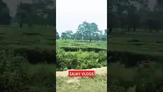 #eveningbikeride #teagarden #beautyofassam #@sajay-vlogs🤗