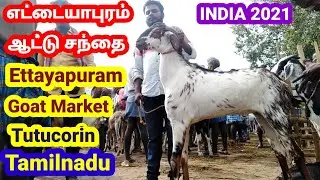 எட்டையாபுரம் ஆட்டு சந்தை2021 Ettayapuram Goat & Sheep Market GoatMarket in Tamilnadu Tamil Vivasayi