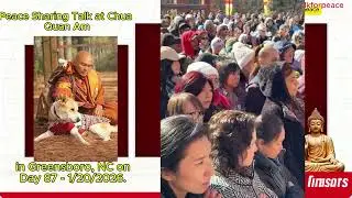 Cultivating Peace: Mindfulness, Purpose, and Action in Daily Life