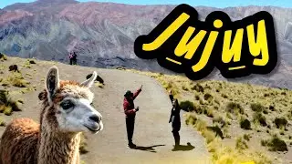 No todo en Jujuy son paisajes&hellip; tambi&eacute;n hay llamas vengativas 🦙😂- Gu&iacute;a de Viaje a JUJUY ✈️🌵