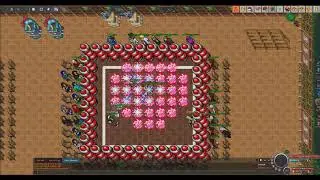 PAdventures Tournament 2017  -   Soksok VS Melinut.