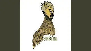 FlyBy (Live)