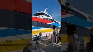 Gozo ferry #nurse #shortsviral #indian
