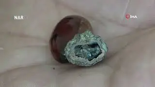 Bayburtlu kehribar ustası işlediği taşta milyonlarca yıllık böcek fosili buldu