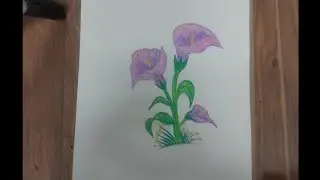 Handmade Flower pot Drawing art coluar 
