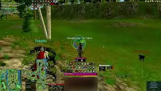 DAOC Celestius Freeshard - Doppelganger 3 Way Action
