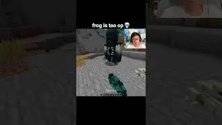Minecraft Frog Moment