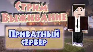 Приватный сервер. Minecraft 1.13.2 ванильное выживание