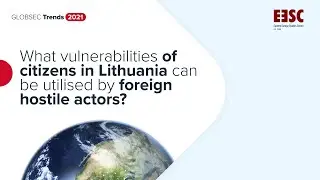 Vulnerabilities in Lithuania: Which can be used by foreign hostile actors?