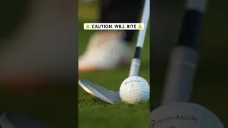 All new MG4 wedges | TaylorMade Canada