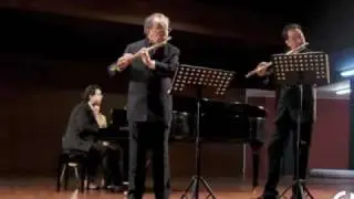 Franz Doppler, Paraphrase La Sonnambula for two flutes and piano