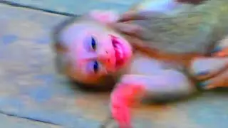 Untitled 2026 02 02 10 46 10 3