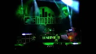4 Limp Bizkit live Bologna 25 My Generation