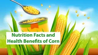 Nutrition Facts and Health Benefits of Corn