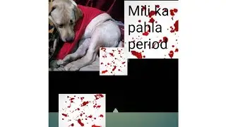 Kaise Pehchane Dog Heat Cycle | Dog Heat Cycle in hindi | Meeting kab karaye | Dog mating time