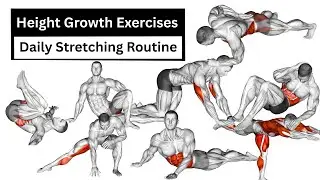 Height Growth Exercises for Adults | Safe Daily Stretching Routine