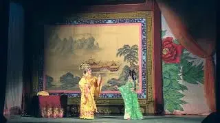 楊梅爭寵