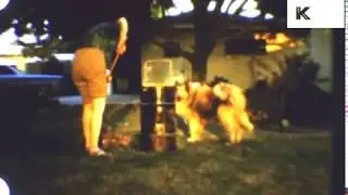 1950s, 1960s USA Road Trip Home Movies, Americana, 8mm, Driving