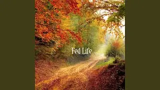 Fed life