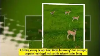 An adrenaline-fueled Journey through Sabuli Wildlife Conservancy in Sabuli, Wajir- Kenya.