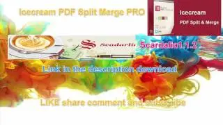 Icecream PDF Split Merge PRO and Scadarlia 1.1.2 free