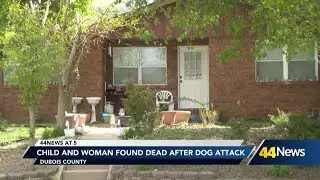 Child and woman found dead after dog attack
