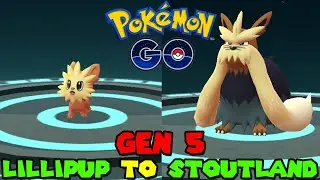Evolving LILLIPUP TO STOUTLAND IN POKEMON GO GEN 5