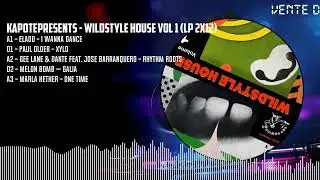 Kapotepresents - Wildstyle House Vol 1 (LP 2x12) [BLACK] (TOYT180)