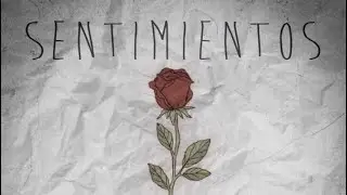 Sentimientos - Emy Smith