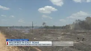 More than 1,000 acres burned in East Texas wildfires over 2 days