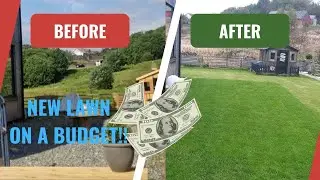 How to Easily make NEW LAWN - New build garden - Easy and cheap.