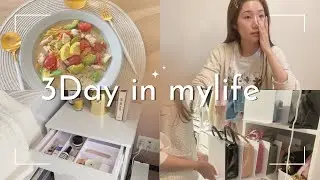 【3日間ゆるVlog】合間に色々な事をこなす｜鞄収納見直し/ご飯/ダイソー購入品/いきなり語ったり…【主婦】