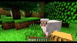 Minecraft Episode 1 - Chasing Sheep