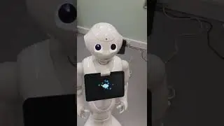 CATHI demo