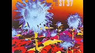 St 37 - A Huge,Rare Cheese