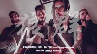 STELLAR CROWS - 狼群 (Wolfpack)