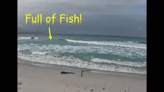 Beach and Rock Fishing. Tasmania's East Coast.