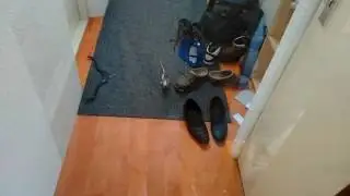 Rats hiding