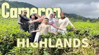 Went to Cameron Highlands for holidays 