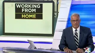 Numbers working from home tripled during pandemic