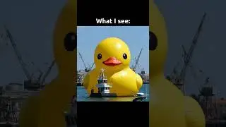 The True size of USS Iowa. #meme #history #education