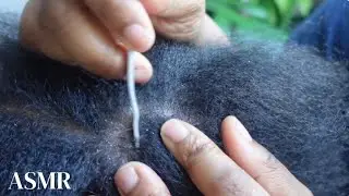 ZOOMED ASMR Scalp SCRATCHING with METAL COMB Hair Play to fall ASLEEP to (no talking!)