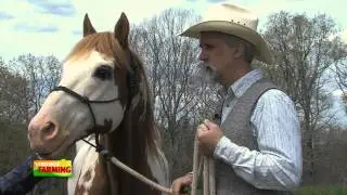 Equine Author Tom Moates