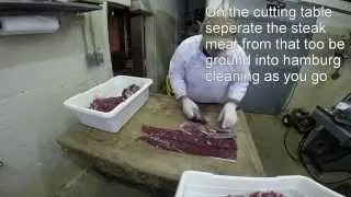 Curtis Custom Cutting Skin And Break Deer 20141127