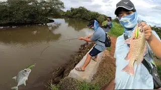  Goa fishing monsoon Ultralight madness / Goa fishing / India fishing 