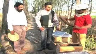 Bee Keeping Best Success Story | Narpinder Singh | Punjab India