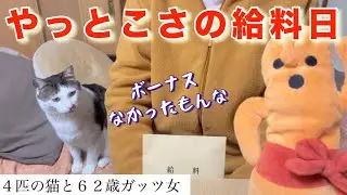 【猫と貧乏女】やっと給料日です。ボーナスが無かったので、年末年始のたくさんの誘惑、、、たえましたー。