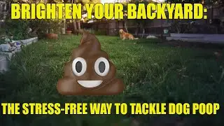 Easy Way To Pick Up Dog Poop In Your Yard.